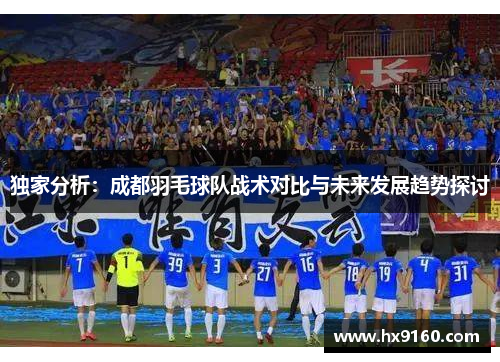 独家分析：成都羽毛球队战术对比与未来发展趋势探讨
